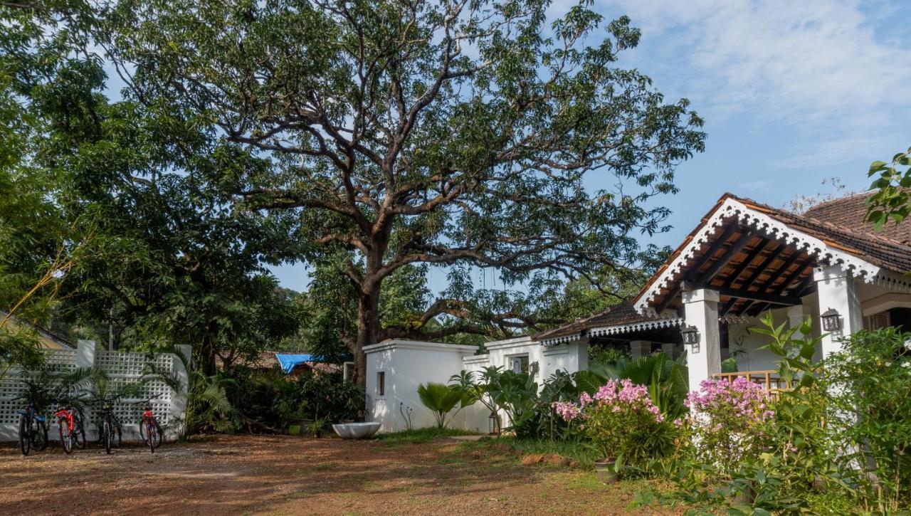 The Island Sanctuary - A Village Secret Chorao Екстериор снимка